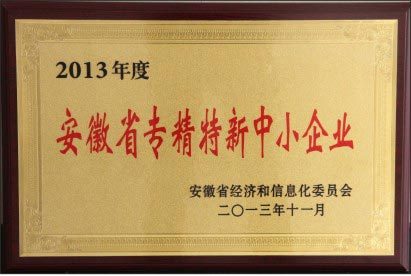 安徽省專(zhuān)精特新企業(yè)